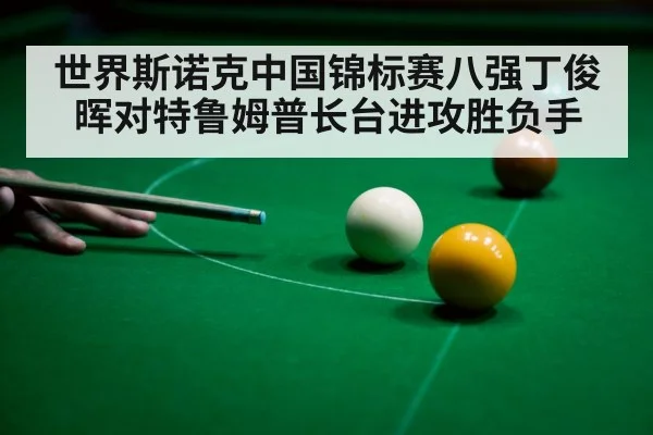 世界斯诺克中国锦标赛八强丁俊晖对特鲁姆普长台进攻胜负手